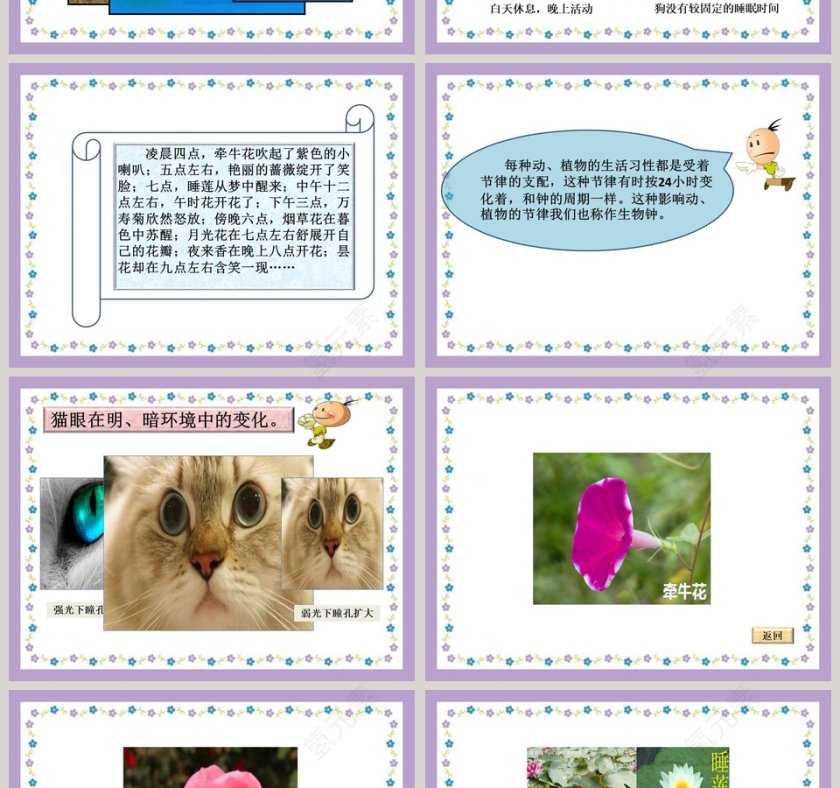 节假日行业PPT模板之昼夜交替设计第2张