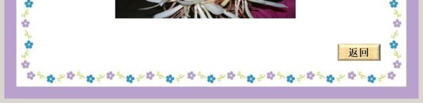 节假日行业PPT模板之昼夜交替设计第5张