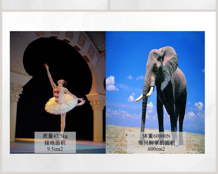 压强教学ppt课件第6张