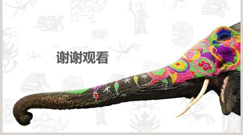 白色简约大气泰国旅游文化PPT第5张