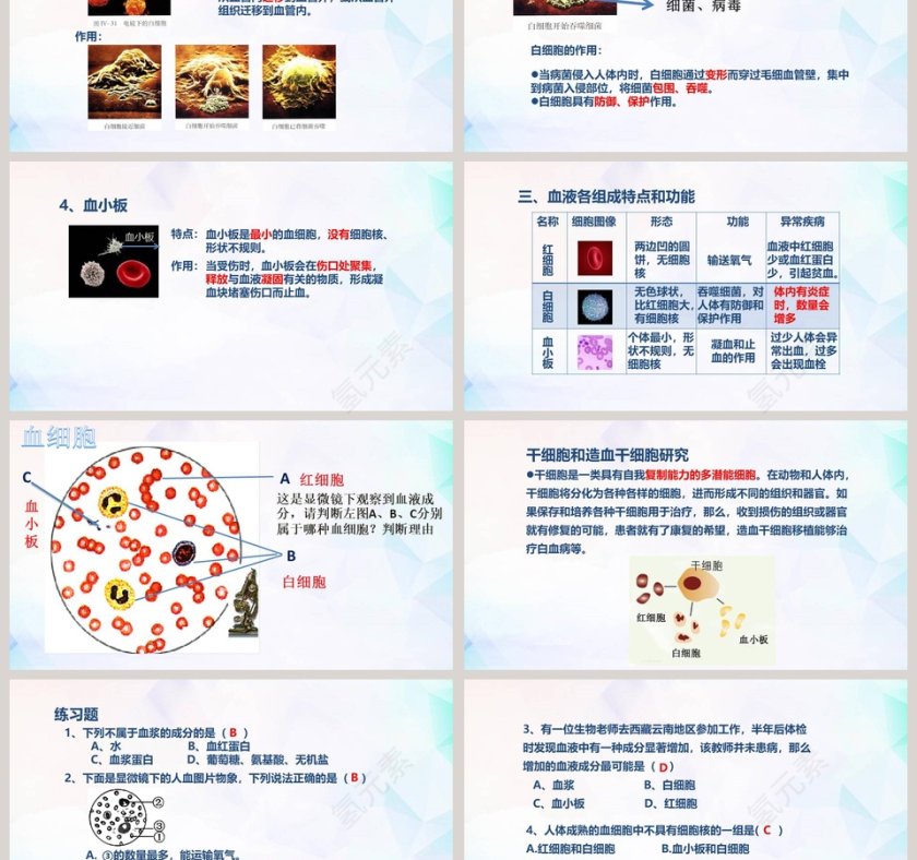 第四章-教学ppt课件第3张