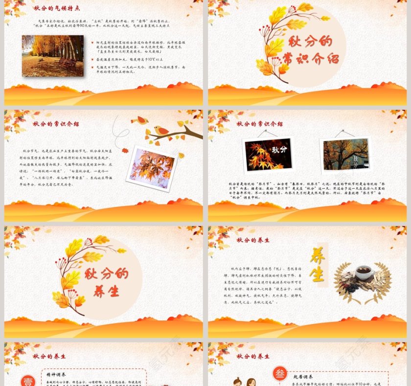 二十四节气主题PPT秋分节气PPT模板第2张