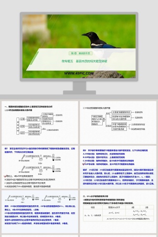 第-3教学ppt课件