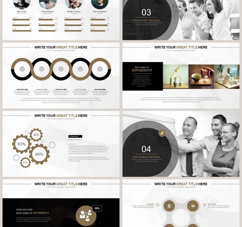 大气欧美风商业计划书PPT第3张