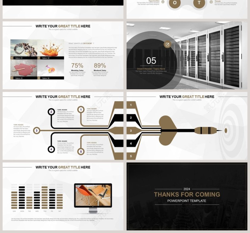 大气欧美风商业计划书PPT第4张