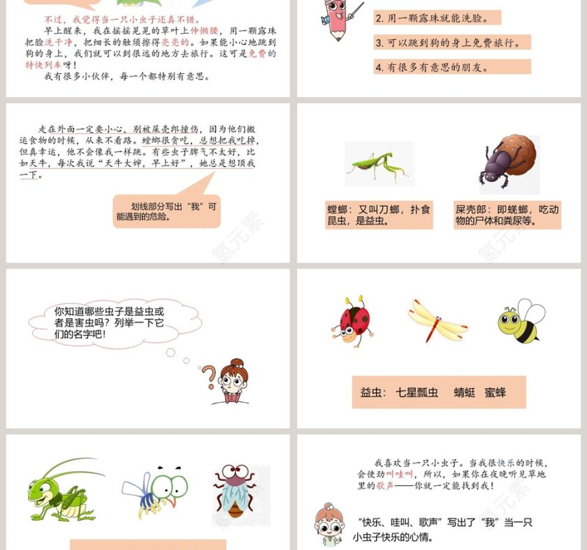 课文解析我是一只小虫子语文课件PPT第3张
