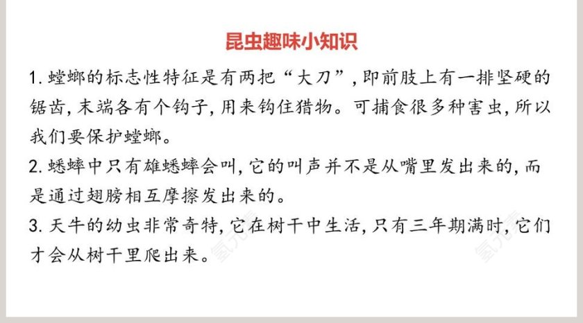课文解析我是一只小虫子语文课件PPT第5张