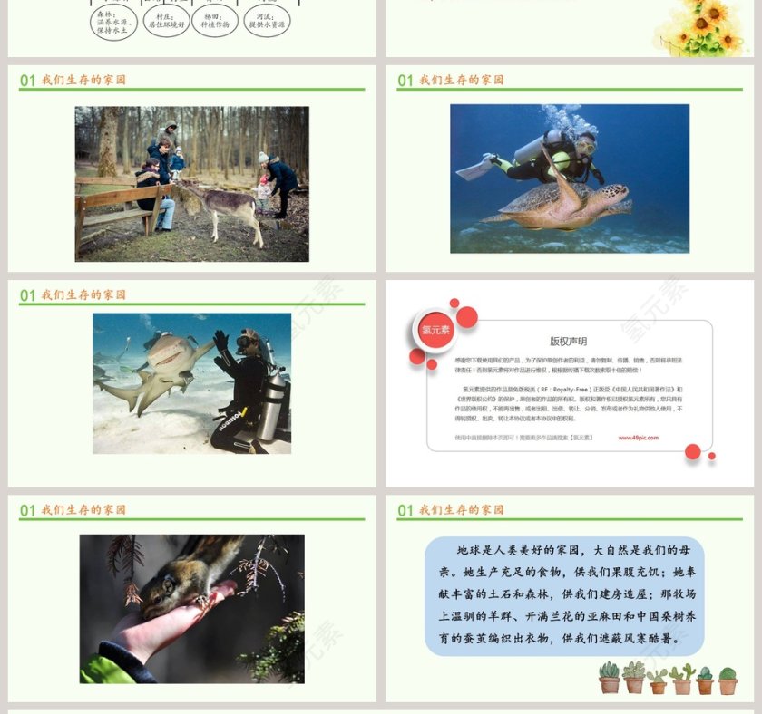 地-球教学ppt课件第4张