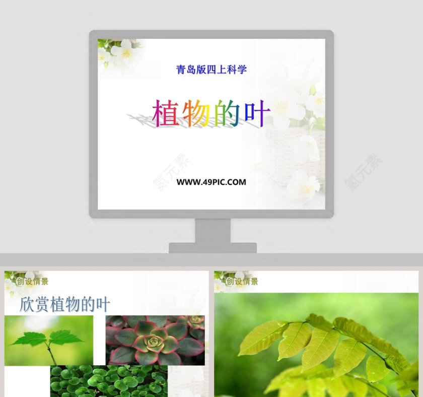 青岛版四上科学-植物的叶教学ppt课件第1张