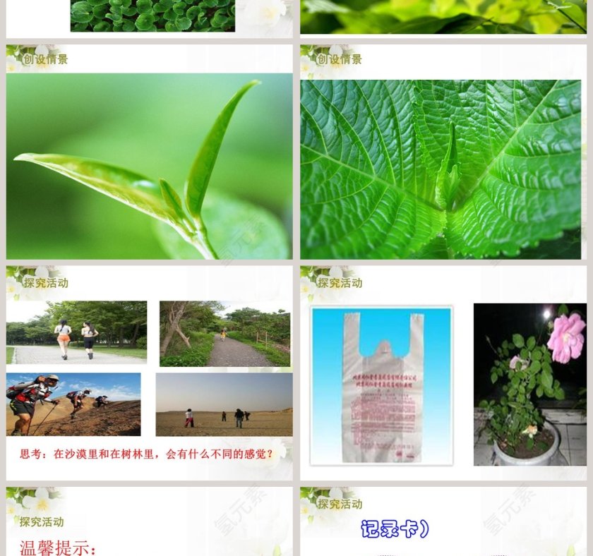 青岛版四上科学-植物的叶教学ppt课件第2张