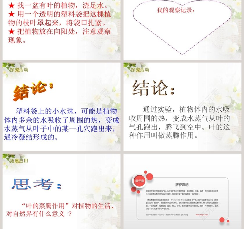 青岛版四上科学-植物的叶教学ppt课件第3张