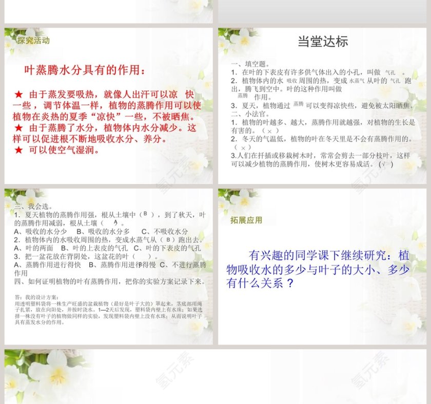 青岛版四上科学-植物的叶教学ppt课件第4张