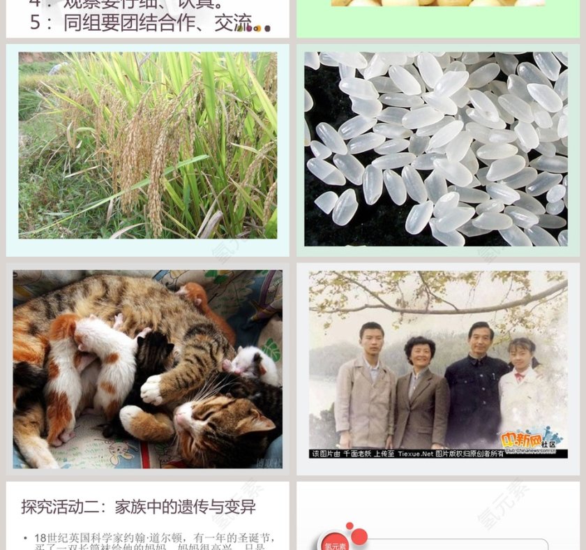 从种瓜得瓜说起：10个工作总结PPT模板使用技巧第2张