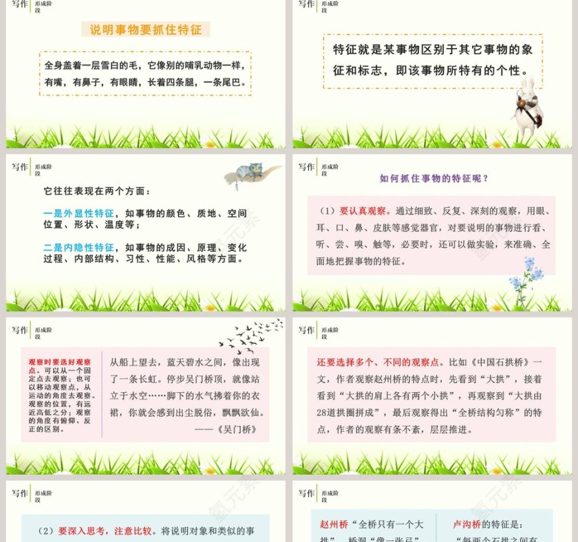 说明事物要抓住特征语文PPT课件第2张