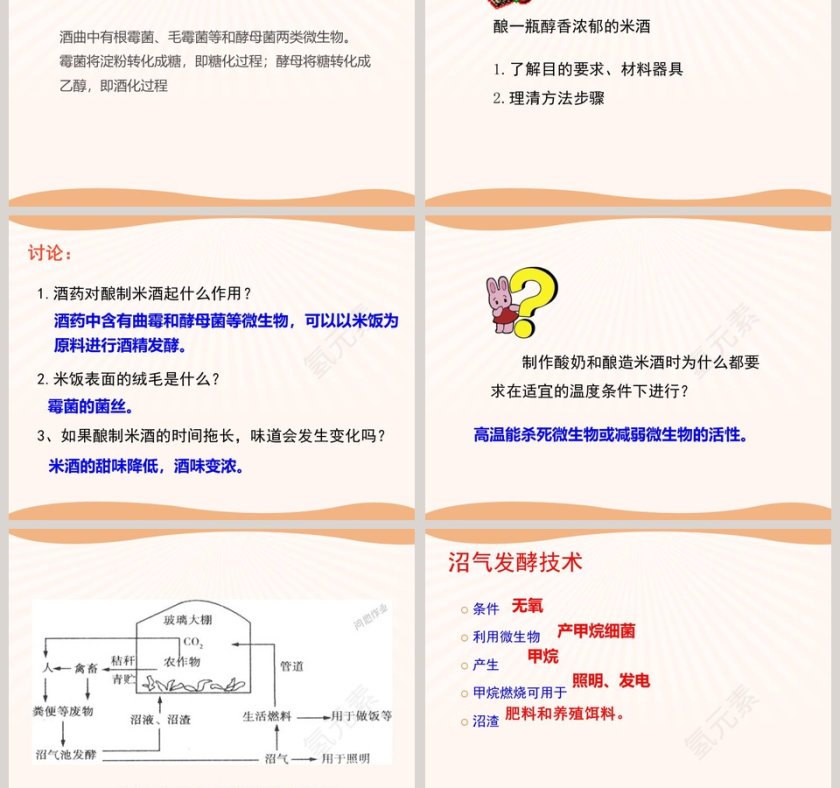 第1节 发酵技术医学护理PPT模板第3张