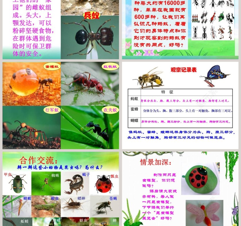 蚂蚁风格PPT模板制作内容大全第3张