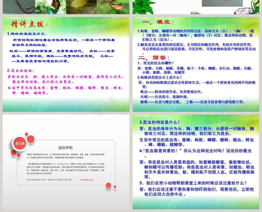 蚂蚁风格PPT模板制作内容大全第4张