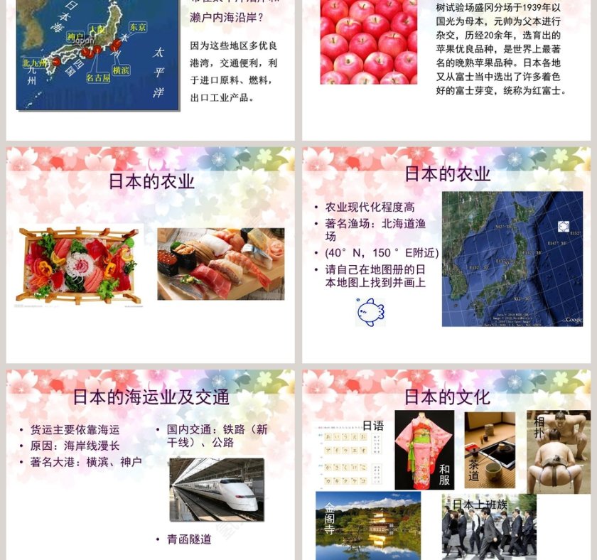 一衣带水的邻邦-日 本教学ppt课件第5张