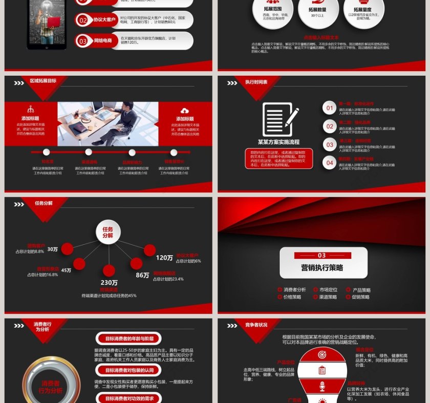 销售策划方案营销计划PPT模板第3张