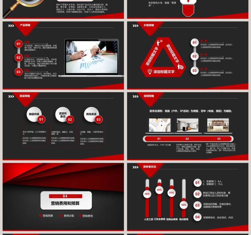 销售策划方案营销计划PPT模板第4张