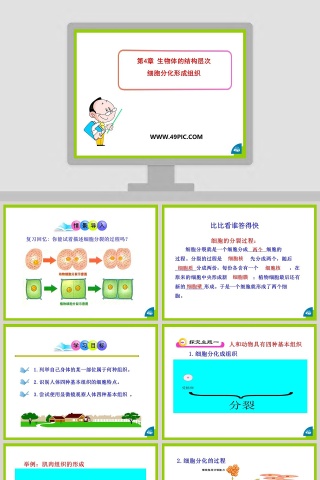第-4教学ppt课件