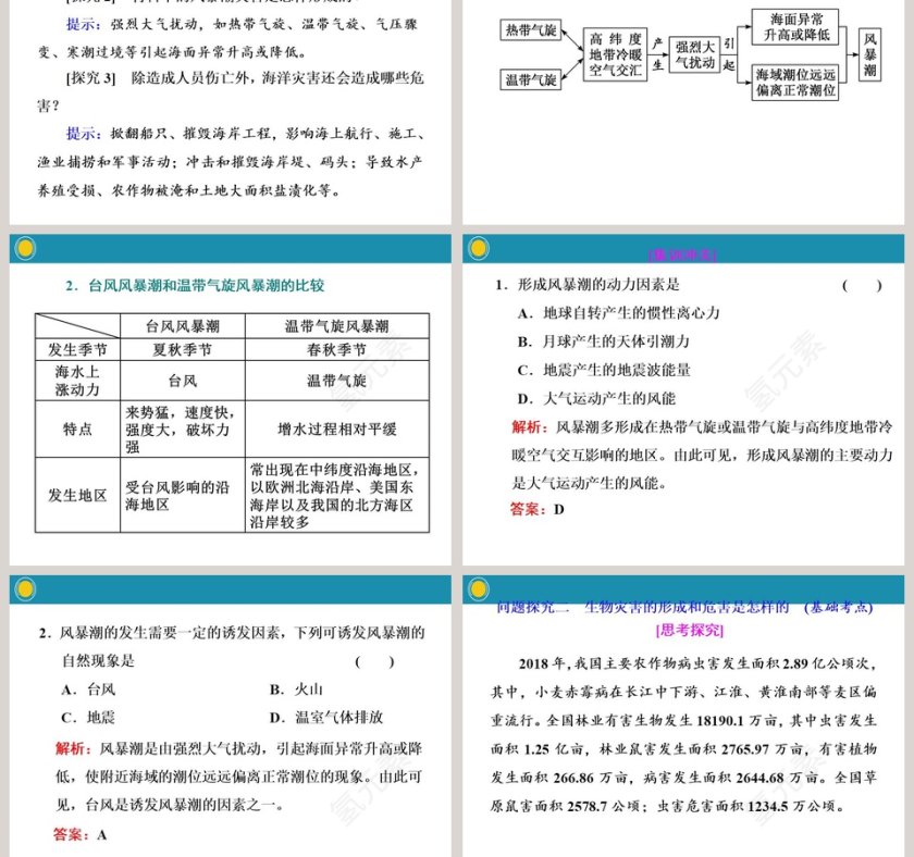 第二课时海洋灾害和生物灾害PPT模板第3张