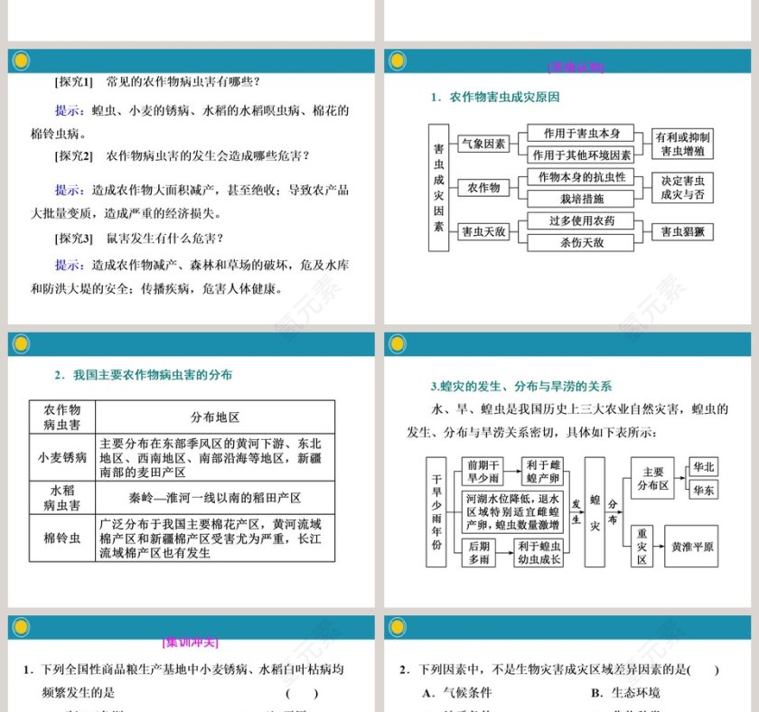 第二课时海洋灾害和生物灾害PPT模板第4张