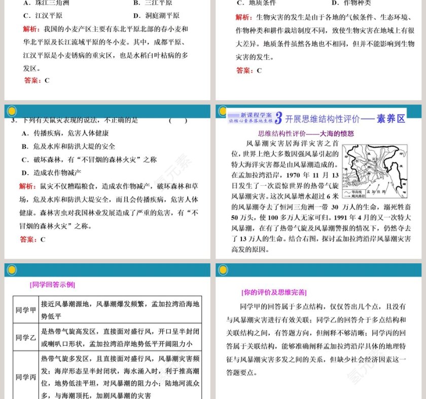第二课时海洋灾害和生物灾害PPT模板第5张