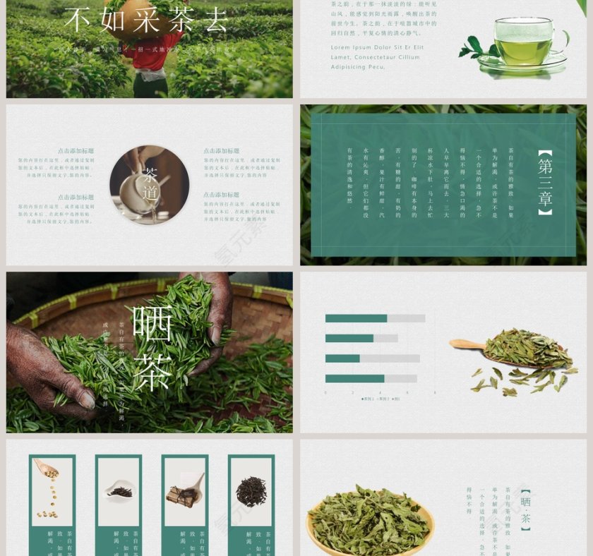 绿色大气茶味茶文化PPT模板第3张