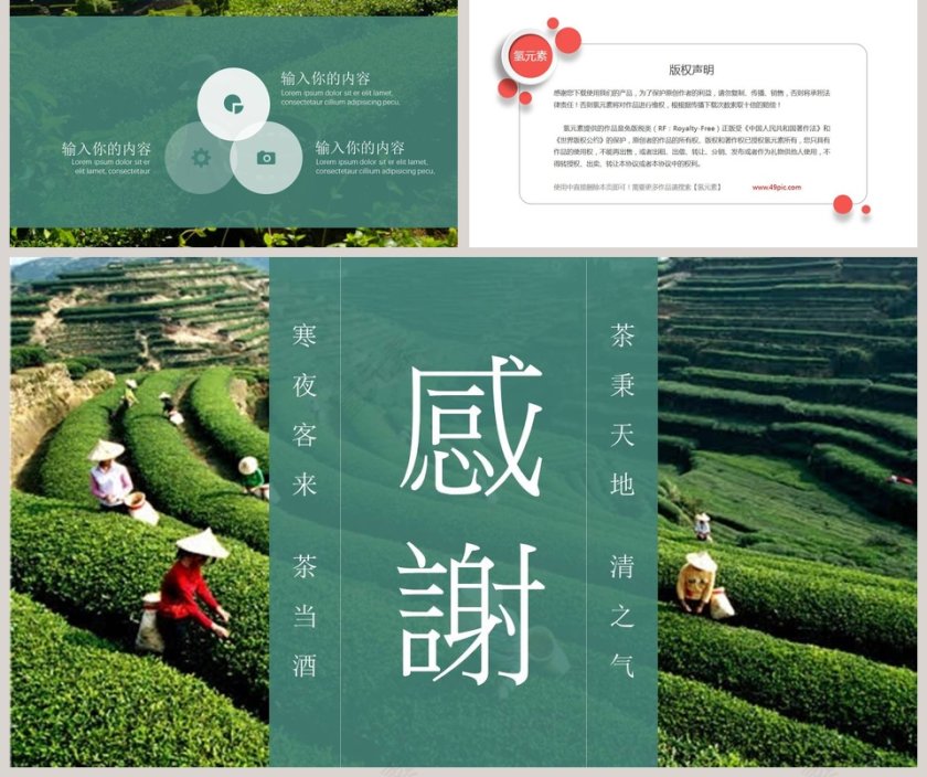 绿色大气茶味茶文化PPT模板第5张