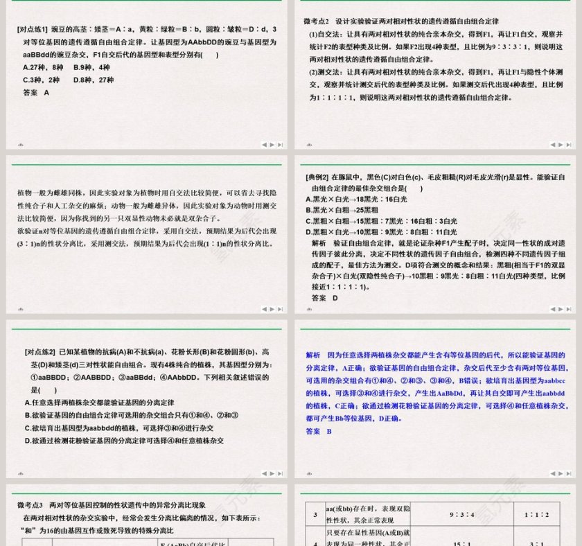 微专题二自由组合定律的解题方法与攻略教学ppt课件第2张