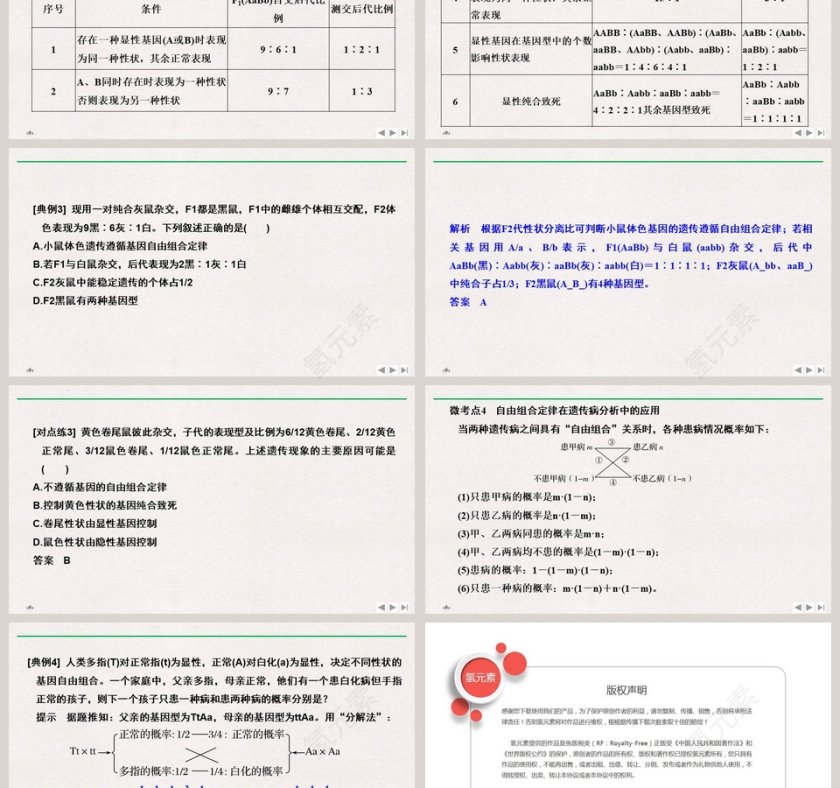 微专题二自由组合定律的解题方法与攻略教学ppt课件第3张