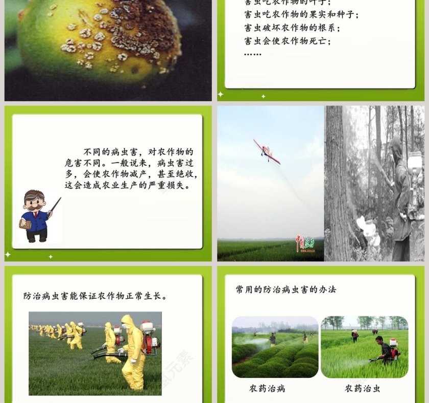 24-防治病虫害教学ppt课件第5张