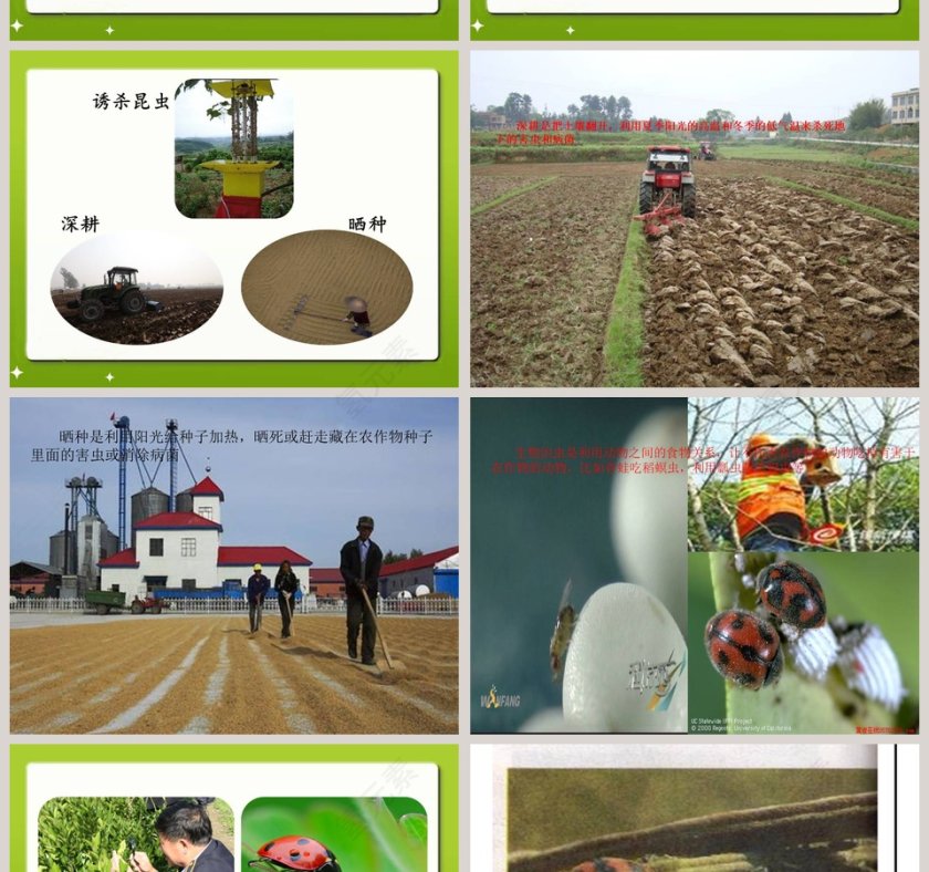 24-防治病虫害教学ppt课件第6张