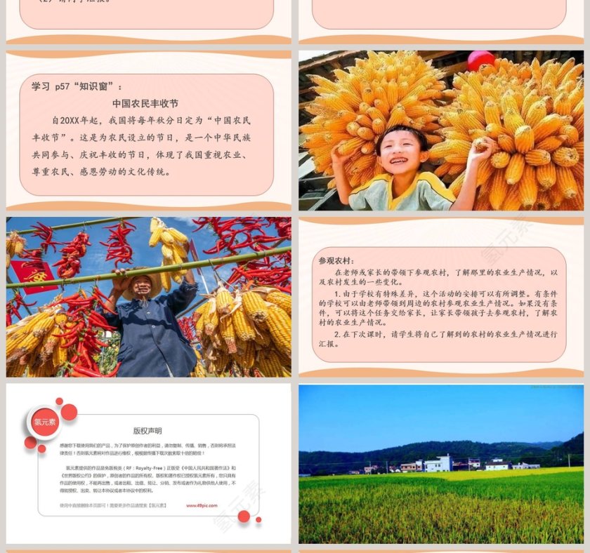 7-我们的衣食之源教学ppt课件第4张