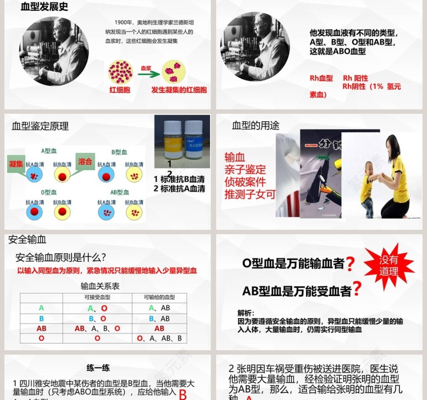 输血与血型-教学ppt课件第2张