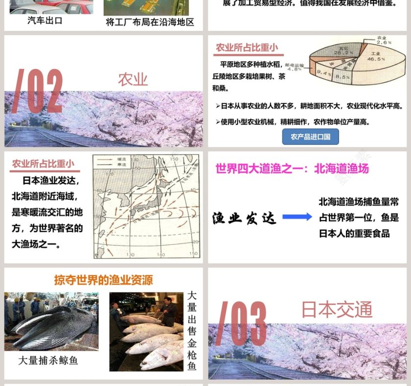 一衣带水的邻邦政务党建PPT模板第4张