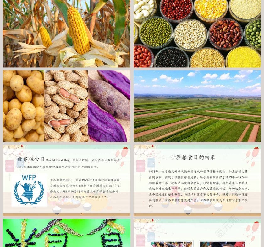 简约世界粮食日主题班会珍惜粮食PPT模板第2张