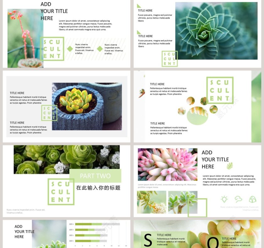 小清新多肉植物主题背景商务通用型模板PPT第2张