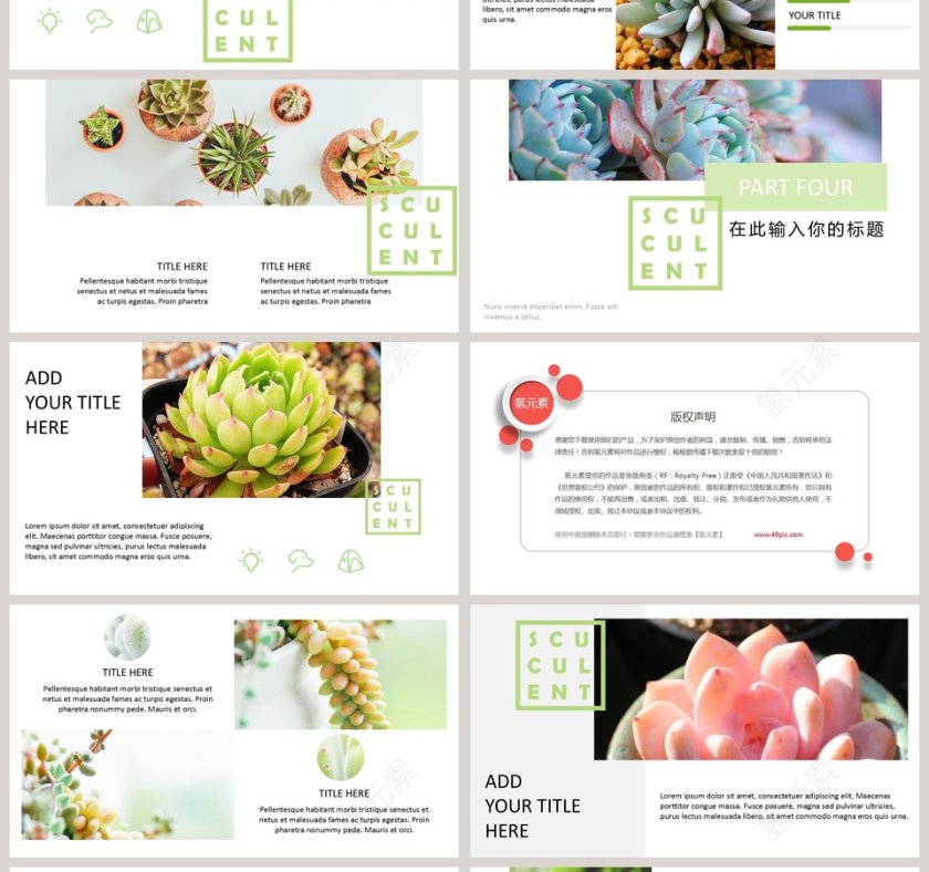 小清新多肉植物主题背景商务通用型模板PPT第4张