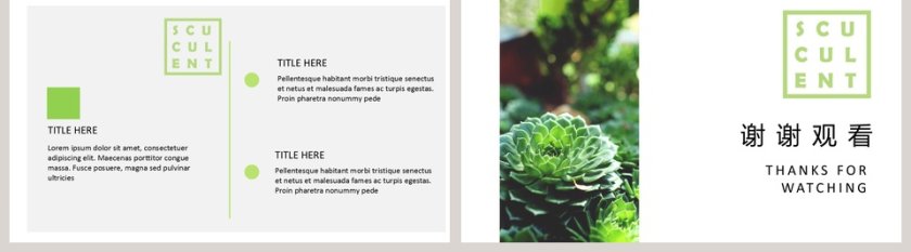 小清新多肉植物主题背景商务通用型模板PPT第5张