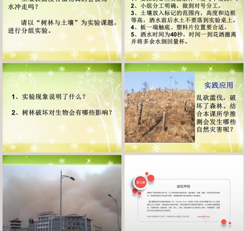 假如大树都倒下教学ppt课件第3张