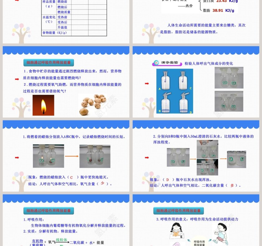 第-1教学ppt课件第3张