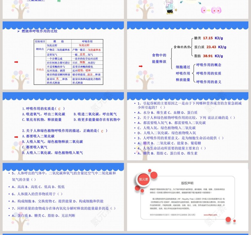 第-1教学ppt课件第4张