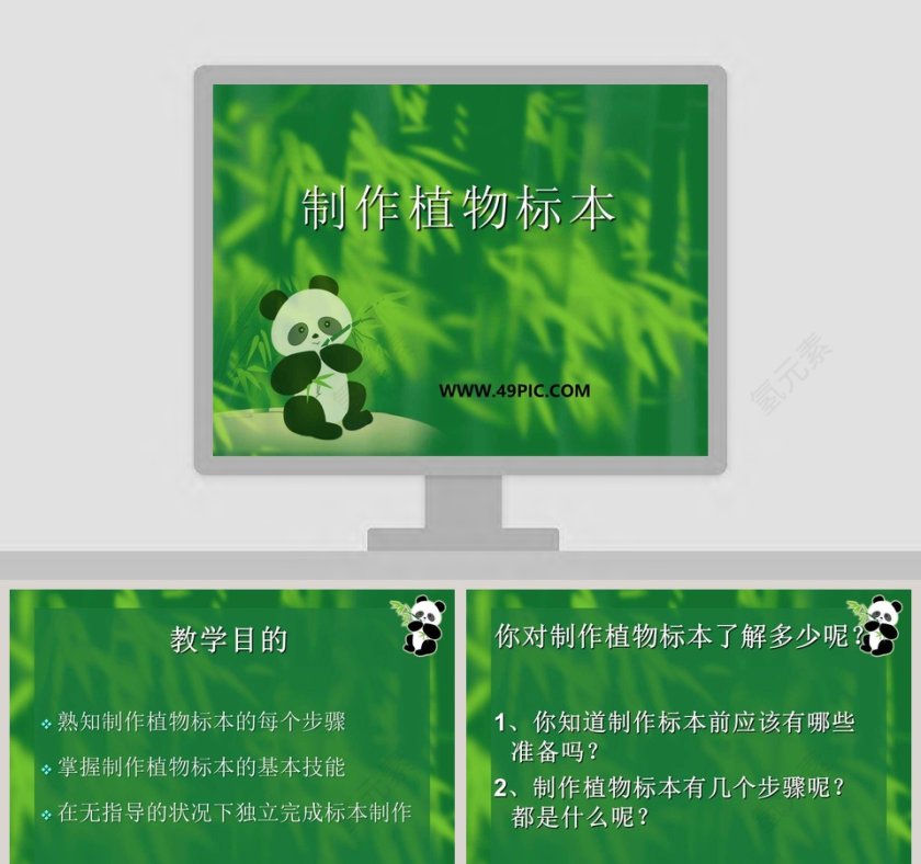 制作植物标本的艺术：使用PPT模板提高竞聘行业的表现力第1张