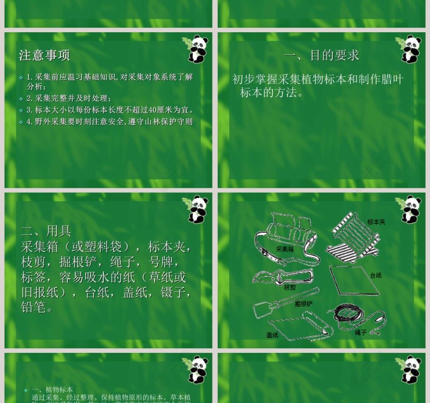 制作植物标本的艺术：使用PPT模板提高竞聘行业的表现力第2张