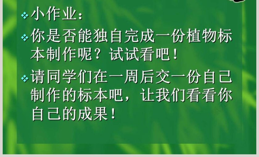 制作植物标本的艺术：使用PPT模板提高竞聘行业的表现力第7张