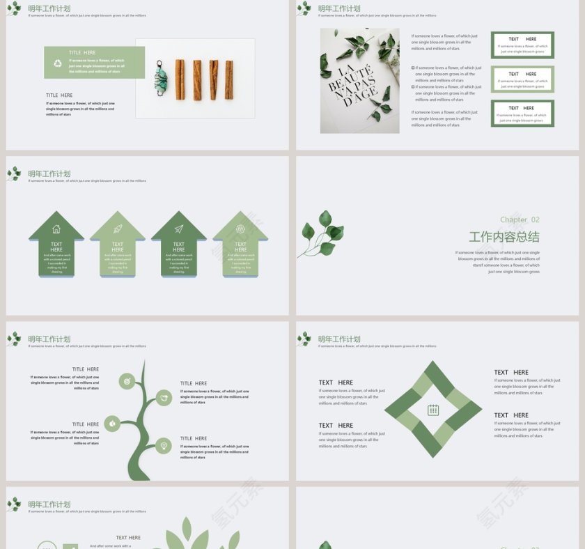 2019小清新绿植总结计划PPT模板第2张