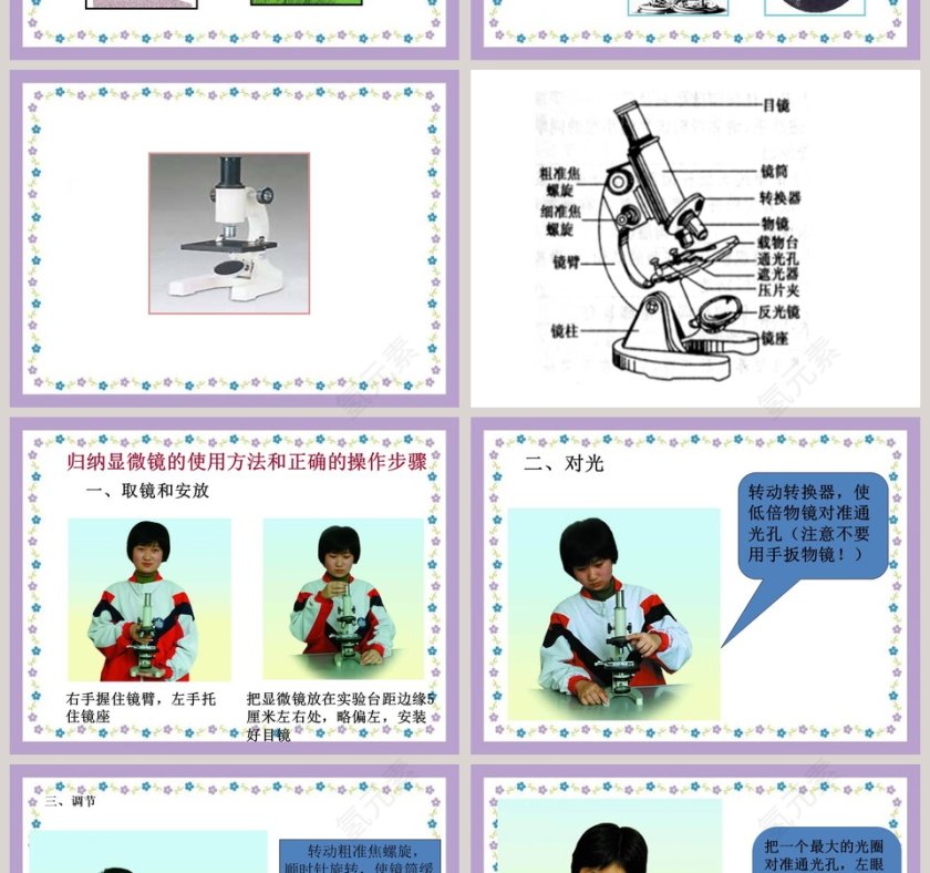 解开生物体结构-的秘密教学ppt课件第2张