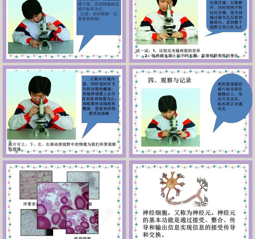 解开生物体结构-的秘密教学ppt课件第3张